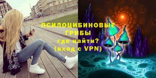 хмурый Алексин