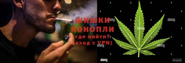 соль ск Алзамай