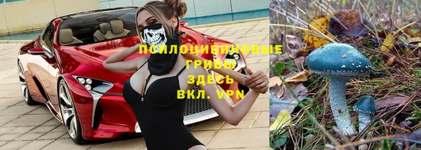 хмурый Алексин
