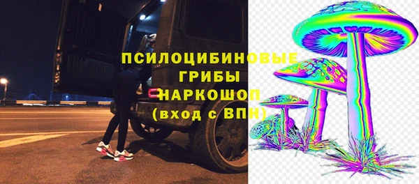 хмурый Алексин