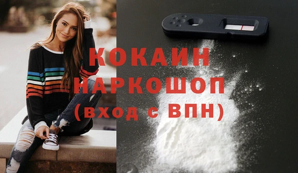 хмурый Алексин
